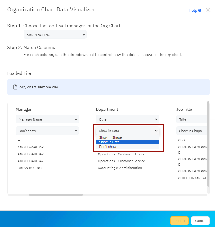 org-chart-data-visualizer-display-options.png